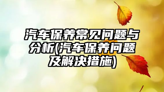 汽車保養(yǎng)常見問題與分析(汽車保養(yǎng)問題及解決措施)