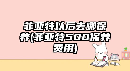 菲亞特以后去哪保養(yǎng)(菲亞特500保養(yǎng)費(fèi)用)