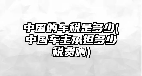 中國(guó)的車(chē)稅是多少(中國(guó)車(chē)主承擔(dān)多少稅費(fèi)啊)