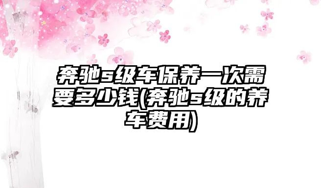 奔馳s級車保養(yǎng)一次需要多少錢(奔馳s級的養(yǎng)車費用)