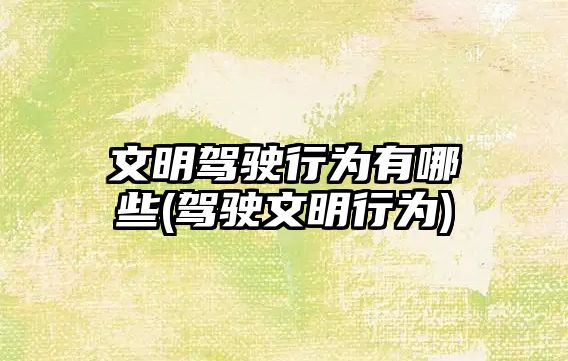 文明駕駛行為有哪些(駕駛文明行為)