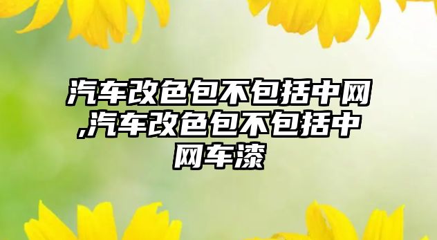 汽車改色包不包括中網(wǎng),汽車改色包不包括中網(wǎng)車漆