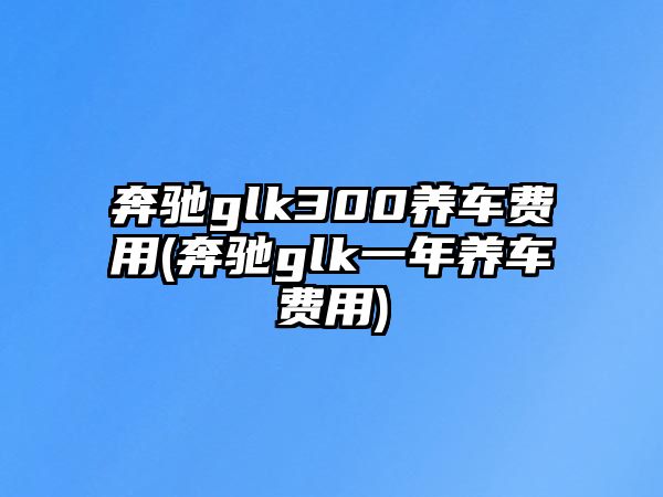 奔馳glk300養(yǎng)車費(fèi)用(奔馳glk一年養(yǎng)車費(fèi)用)