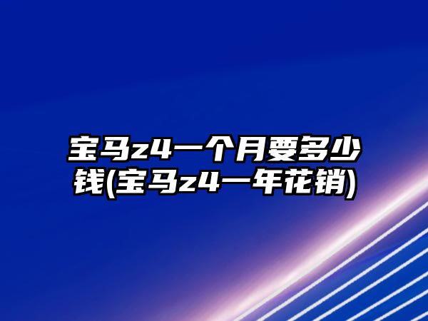 寶馬z4一個月要多少錢(寶馬z4一年花銷)