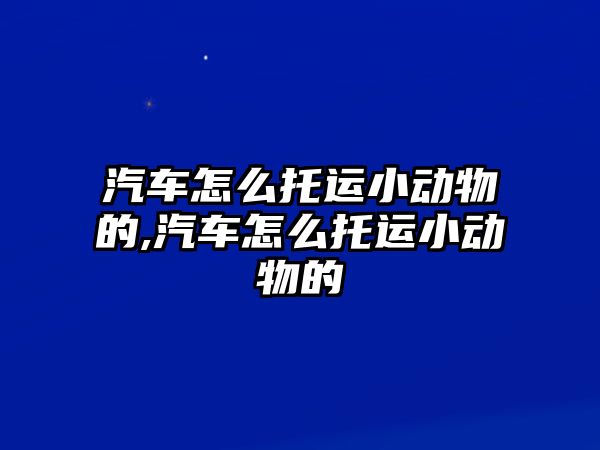 汽車怎么托運(yùn)小動物的,汽車怎么托運(yùn)小動物的