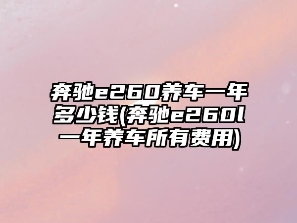 奔馳e260養(yǎng)車一年多少錢(奔馳e260l一年養(yǎng)車所有費用)