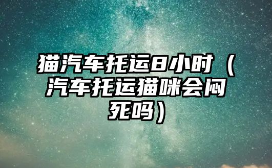 貓汽車托運8小時（汽車托運貓咪會悶死嗎）