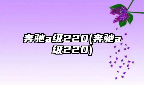 奔馳a級(jí)220(奔馳a級(jí)220)