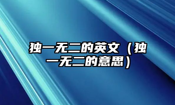 獨(dú)一無二的英文（獨(dú)一無二的意思）