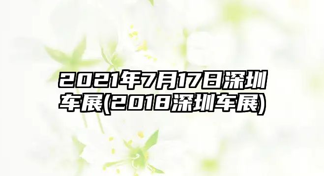 2021年7月17日深圳車展(2018深圳車展)