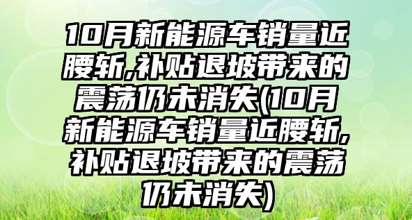 10月新能源車銷量近腰斬,補(bǔ)貼退坡帶來的震蕩仍未消失(10月新能源車銷量近腰斬,補(bǔ)貼退坡帶來的震蕩仍未消失)