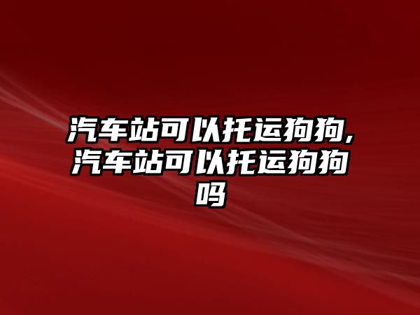 汽車站可以托運(yùn)狗狗,汽車站可以托運(yùn)狗狗嗎