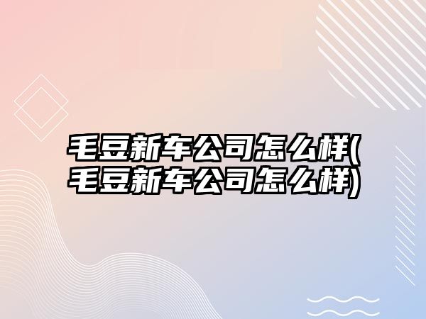 毛豆新車公司怎么樣(毛豆新車公司怎么樣)