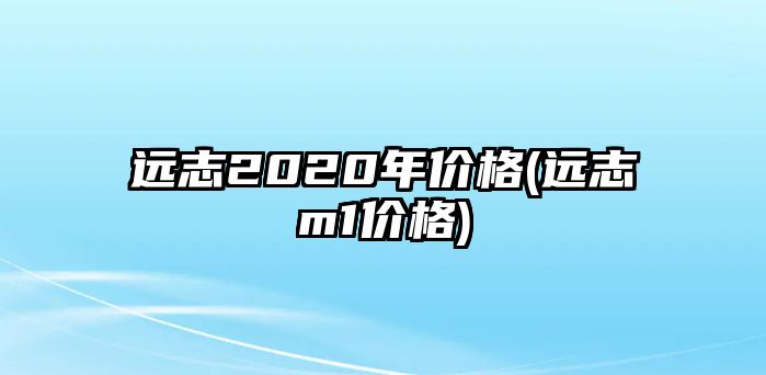 遠(yuǎn)志2020年價(jià)格(遠(yuǎn)志m1價(jià)格)