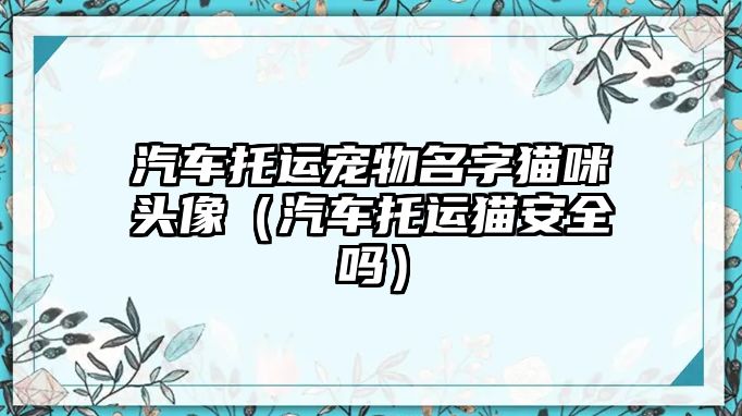 汽車托運寵物名字貓咪頭像（汽車托運貓安全嗎）