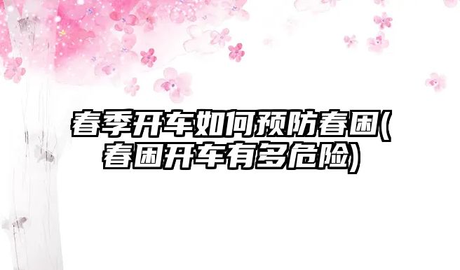 春季開車如何預(yù)防春困(春困開車有多危險)