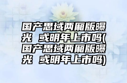 國產思域兩廂版曝光 或明年上市嗎(國產思域兩廂版曝光 或明年上市嗎)