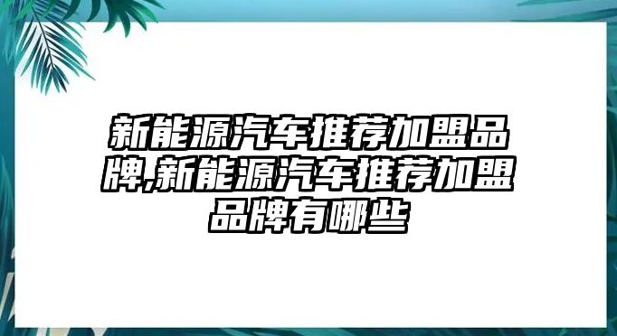 新能源汽車(chē)推薦加盟品牌,新能源汽車(chē)推薦加盟品牌有哪些