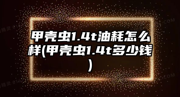 甲殼蟲(chóng)1.4t油耗怎么樣(甲殼蟲(chóng)1.4t多少錢(qián))