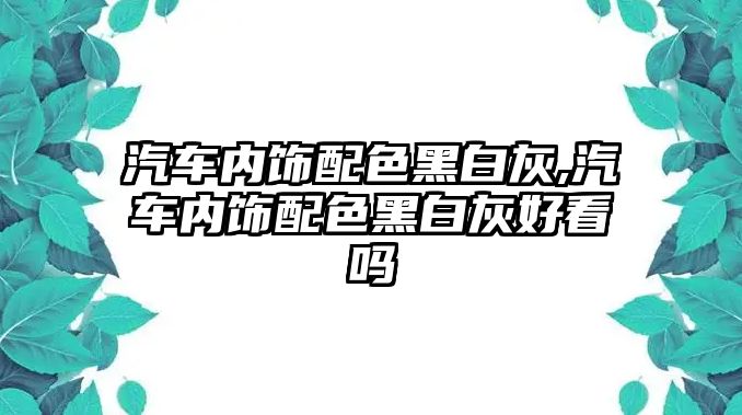 汽車內(nèi)飾配色黑白灰,汽車內(nèi)飾配色黑白灰好看嗎