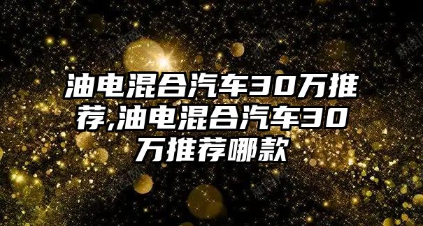 油電混合汽車(chē)30萬(wàn)推薦,油電混合汽車(chē)30萬(wàn)推薦哪款