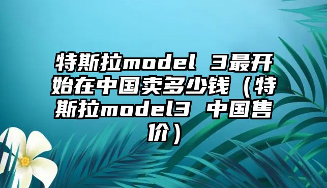 特斯拉model 3最開(kāi)始在中國(guó)賣多少錢（特斯拉model3 中國(guó)售價(jià)）