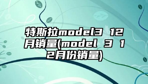 特斯拉model3 12月銷量(model 3 12月份銷量)