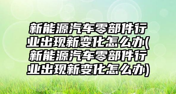 新能源汽車零部件行業(yè)出現(xiàn)新變化怎么辦(新能源汽車零部件行業(yè)出現(xiàn)新變化怎么辦)