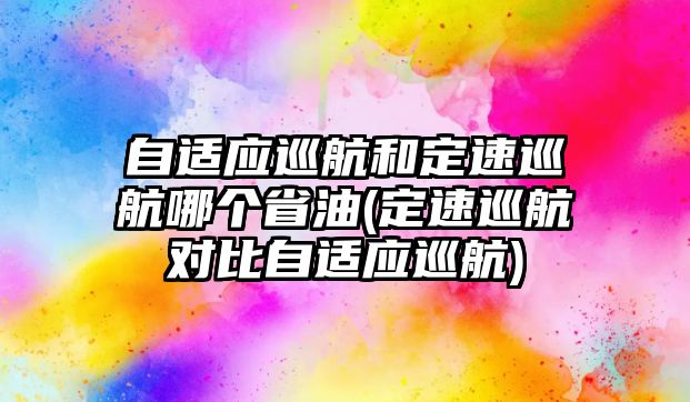 自適應(yīng)巡航和定速巡航哪個(gè)省油(定速巡航對比自適應(yīng)巡航)