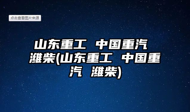 山東重工 中國(guó)重汽 濰柴(山東重工 中國(guó)重汽 濰柴)