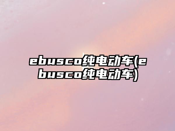 ebusco純電動(dòng)車(ebusco純電動(dòng)車)