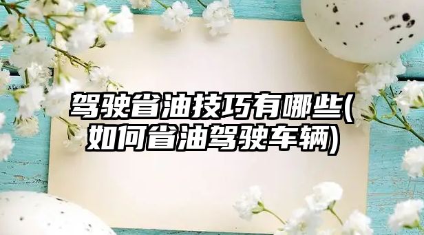 駕駛省油技巧有哪些(如何省油駕駛車(chē)輛)