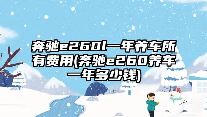 奔馳e260l一年養(yǎng)車所有費用(奔馳e260養(yǎng)車一年多少錢)