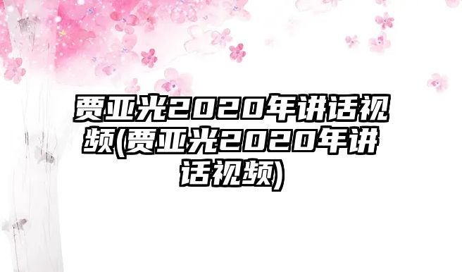 賈亞光2020年講話視頻(賈亞光2020年講話視頻)