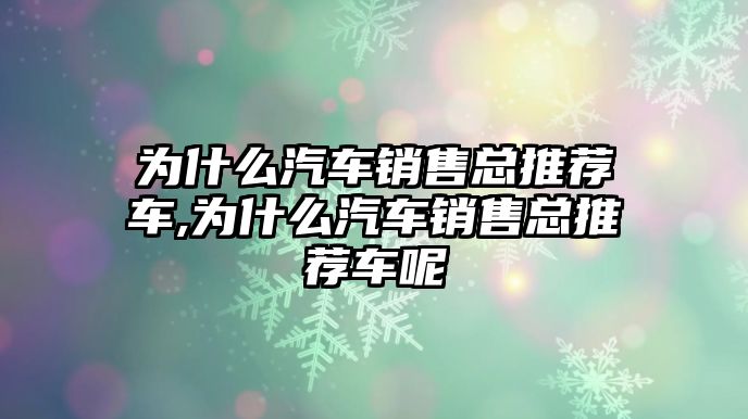 為什么汽車銷售總推薦車,為什么汽車銷售總推薦車呢