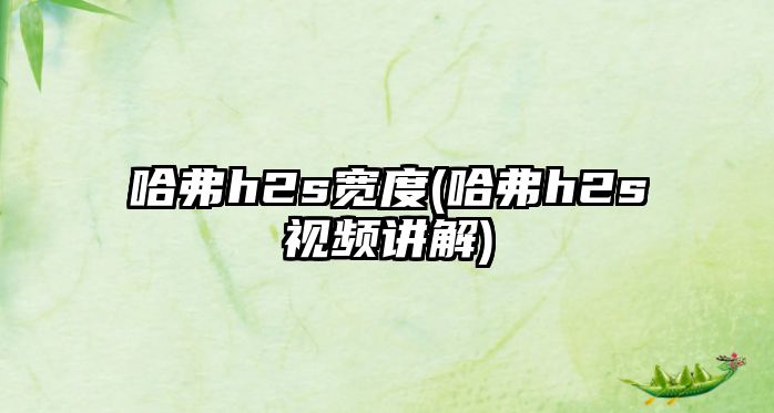 哈弗h2s寬度(哈弗h2s視頻講解)