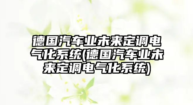 德國(guó)汽車業(yè)未來(lái)定調(diào)電氣化系統(tǒng)(德國(guó)汽車業(yè)未來(lái)定調(diào)電氣化系統(tǒng))