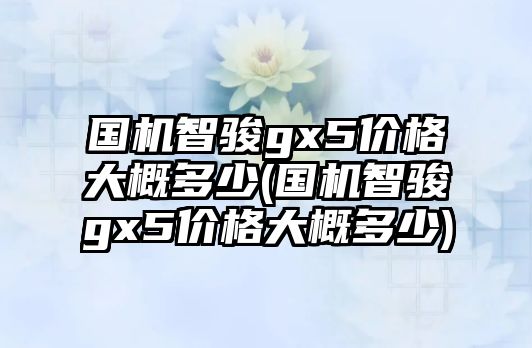 國(guó)機(jī)智駿gx5價(jià)格大概多少(國(guó)機(jī)智駿gx5價(jià)格大概多少)