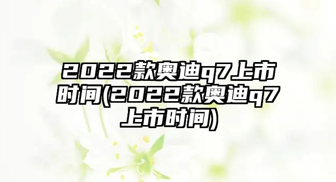 2022款奧迪q7上市時間(2022款奧迪q7上市時間)