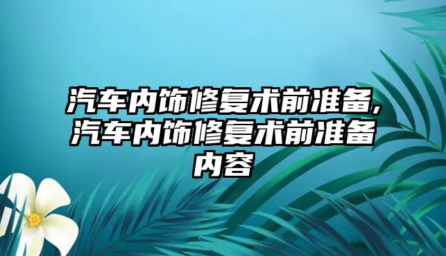 汽車內(nèi)飾修復(fù)術(shù)前準(zhǔn)備,汽車內(nèi)飾修復(fù)術(shù)前準(zhǔn)備內(nèi)容