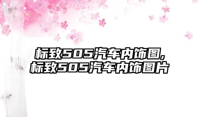 標(biāo)致505汽車內(nèi)飾圖,標(biāo)致505汽車內(nèi)飾圖片