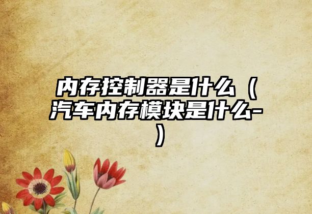 內(nèi)存控制器是什么（汽車內(nèi)存模塊是什么-）