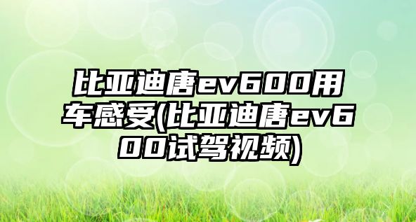 比亞迪唐ev600用車感受(比亞迪唐ev600試駕視頻)