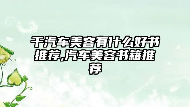 干汽車美容有什么好書推薦,汽車美容書籍推薦