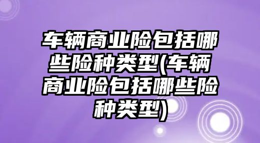 車輛商業(yè)險包括哪些險種類型(車輛商業(yè)險包括哪些險種類型)