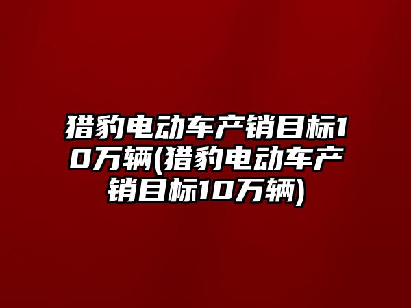 獵豹電動車產(chǎn)銷目標10萬輛(獵豹電動車產(chǎn)銷目標10萬輛)