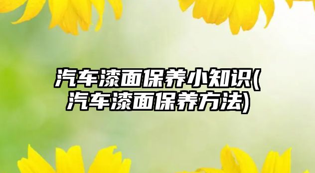 汽車漆面保養(yǎng)小知識(汽車漆面保養(yǎng)方法)