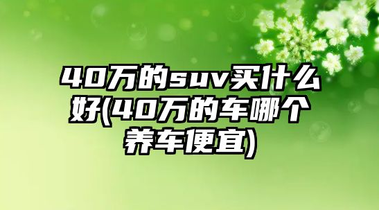 40萬(wàn)的suv買(mǎi)什么好(40萬(wàn)的車(chē)哪個(gè)養(yǎng)車(chē)便宜)