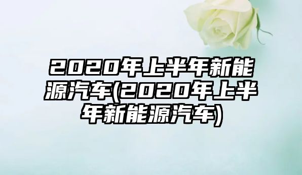 2020年上半年新能源汽車(2020年上半年新能源汽車)