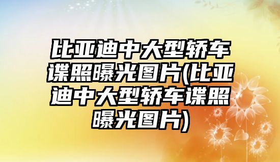 比亞迪中大型轎車諜照曝光圖片(比亞迪中大型轎車諜照曝光圖片)